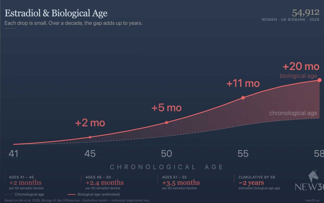 Estradiol and Biological Age: What 54,912 Women Show