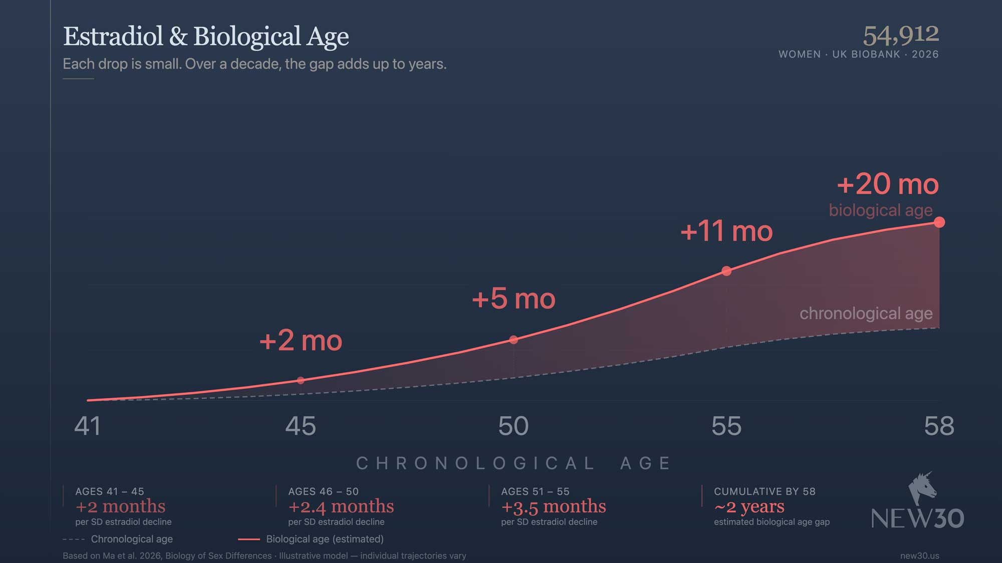Estradiol and Biological Age: What 54,912 Women Show